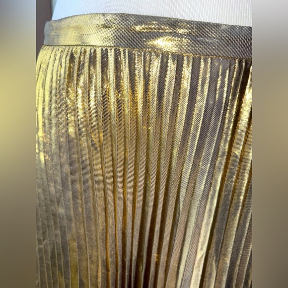 Golden Hour Elegance ✨ | Anne Klein Pleated Midi Skirt - Picture 2 of 4